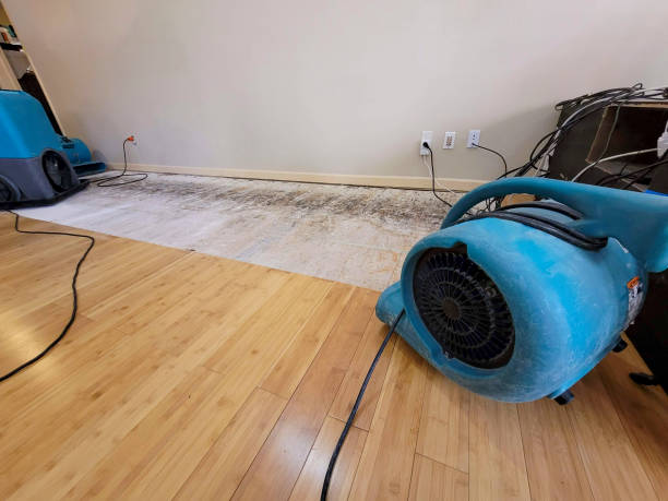 Reliable Basement Flood Cleanup contractor in Marshall, VA by Hirex Water Damage