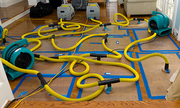 Professional Basement Flood Cleanup technician working in Marshall, VA